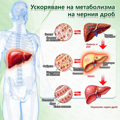 👩‍⚕️ 𝐴𝑁𝐺𝐸𝐿𝑇𝑅𝐴𝑃® 𝐌𝐨𝐫𝐢𝐧𝐠𝐚 × 𝐁𝐞𝐫𝐛𝐞𝐫𝐲𝐧𝐚 × 𝐀𝐌𝐏𝐊 𝟏𝟎 в 𝟏 – Нано микроиглен пластир за отслабване|Само 𝟏× дневно ✅ Видими промени за 𝟕 дни – при затлъстяване, сърдечно-съдово здраве, диабет и ставни проблеми